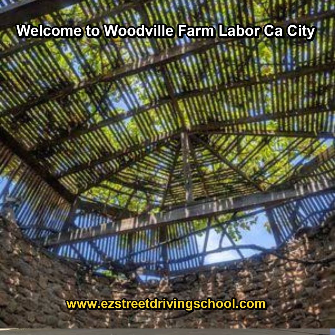 Driving Lessons in Woodville Farm Labor Ca
